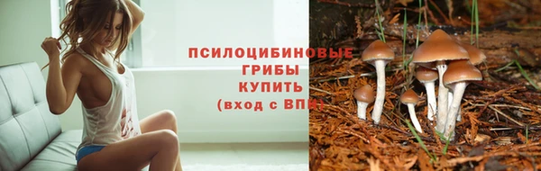 прущие грибы Алексин