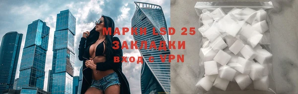 винт Алзамай