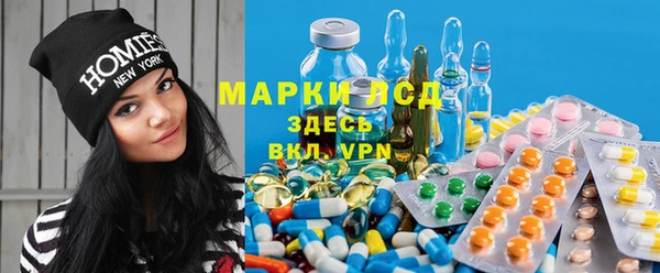 прущие грибы Алексин