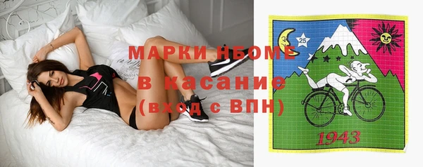 прущие грибы Алексин