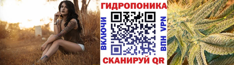 Марихуана сатива  Буй 